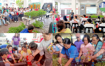 community pantries