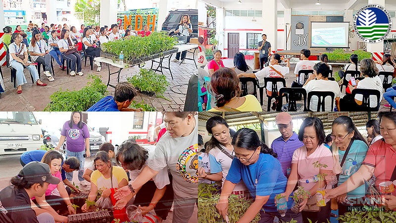DENR MEO South holds community pantries in Las Piñas and Taguig