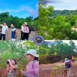 Bioremediation