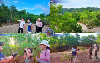 Bioremediation