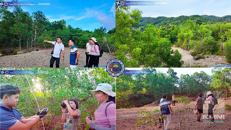 Bioremediation at Work: Rebuilding Communities