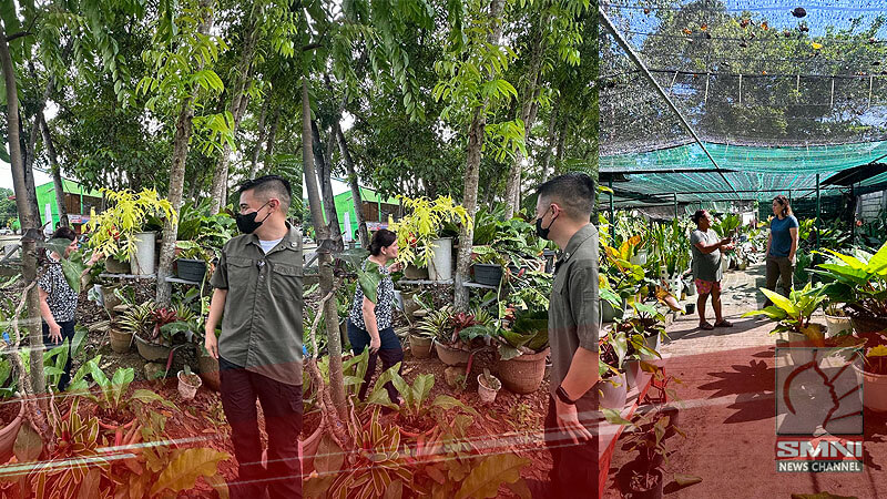 VP Sara ‘plantita’ mode sa pagbisita sa Zamboanga Sibugay at Bohol