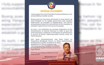 BIR Commissioner Lumagui