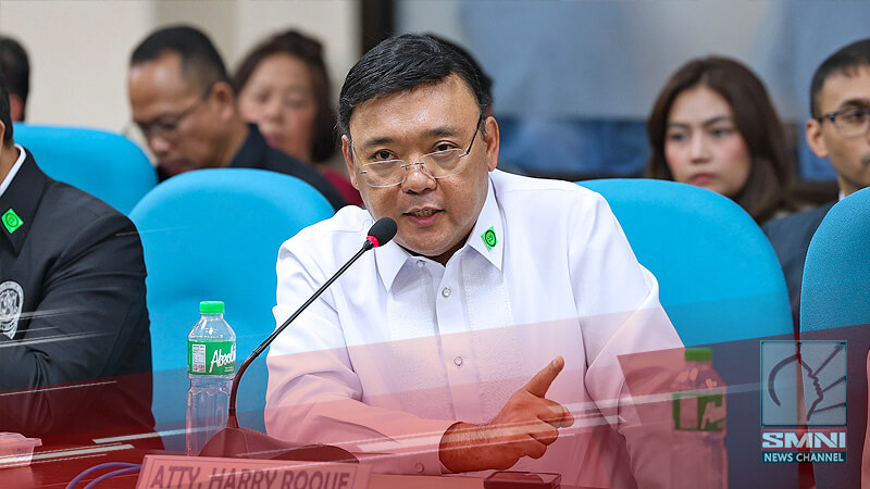 Kulong muna bago ang determination of probable cause na sistema ng ICC ‘di makatarungan—Atty. Roque