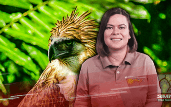Philippine Eagle