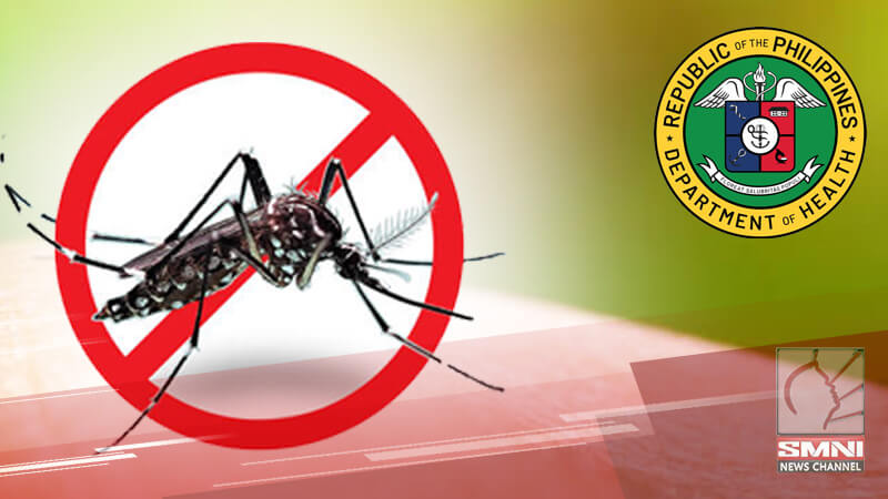 Dengue cases, bumaba ng 12% sa loob ng 2 linggo —DOH