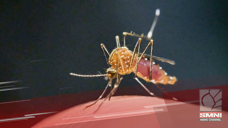 Pakil, Laguna nasa state of emergency dahil sa pagtaas ng kaso ng dengue