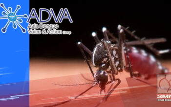 dengue vaccine application