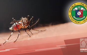 Dengue
