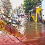 dengue at leptospirosis