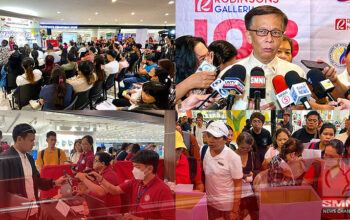 Mega Job Fair
