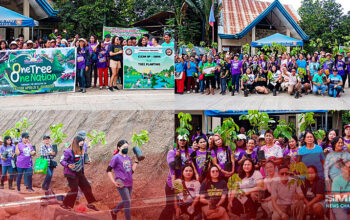 tree planting activity